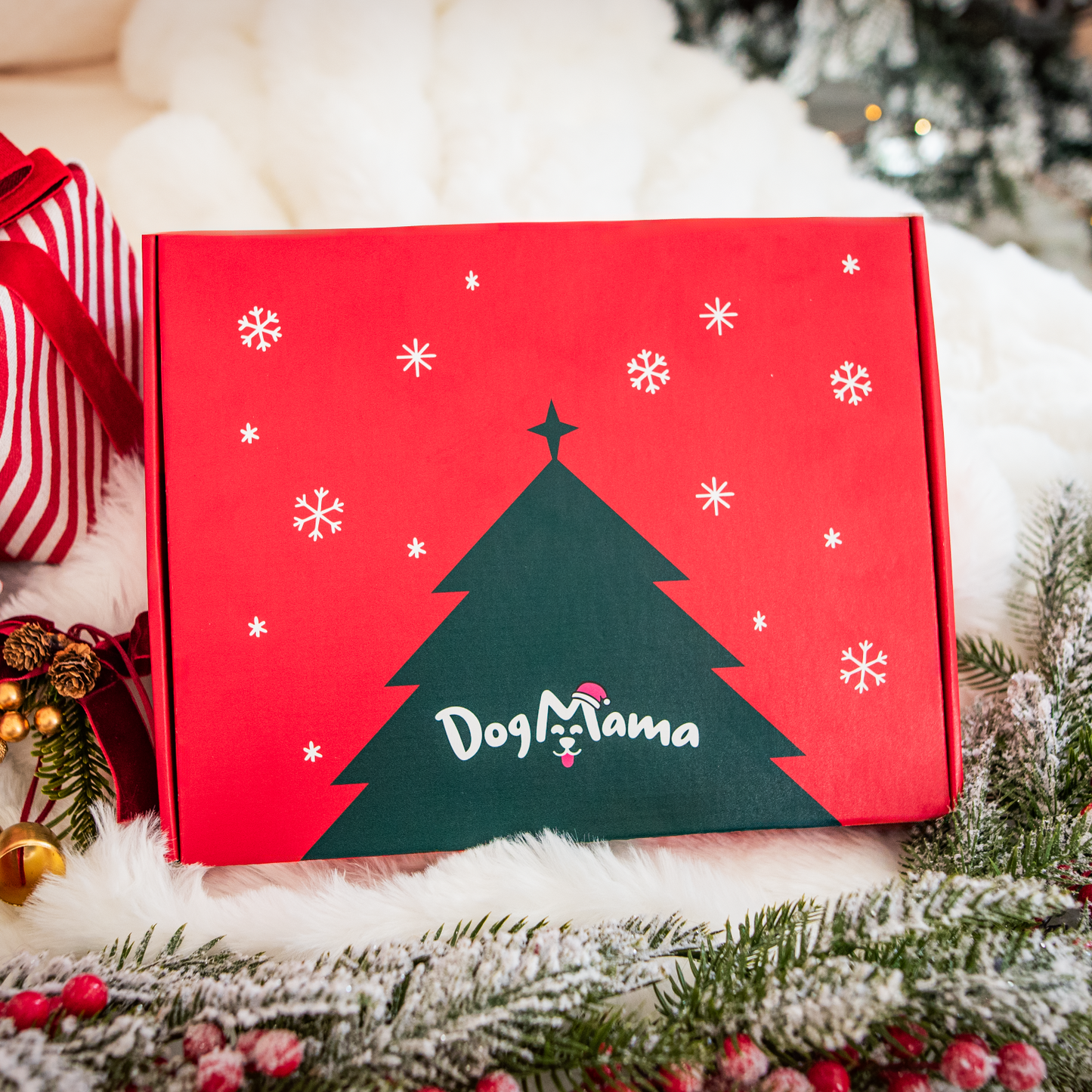 Vánoční balíček - 4 krabičky