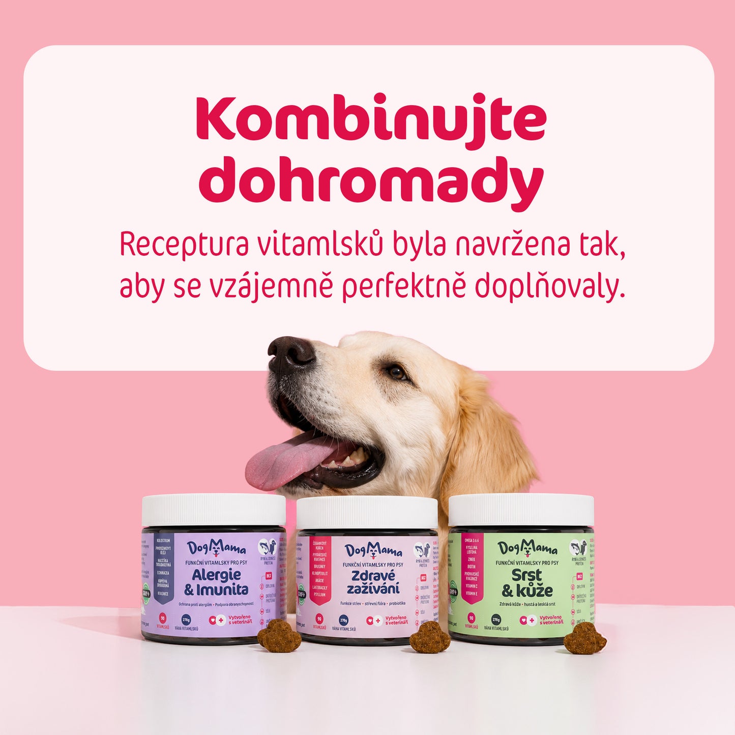 Zdravé zažívání + Probiotika