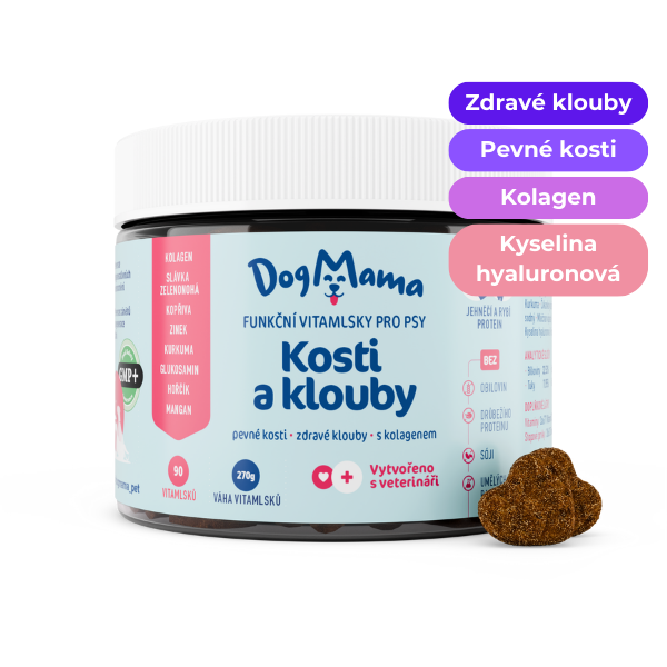 Klouby a kosti + Kolagen