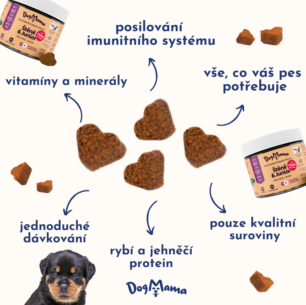 Štěně & Junior