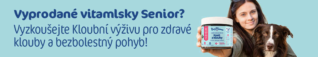 Senior Banner CZ