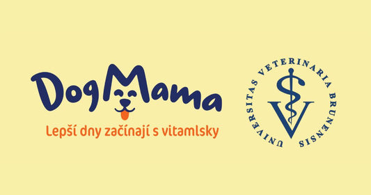 Klinická studie s VETUNI: Získejte výživu a vyšetření psa zdarma!
