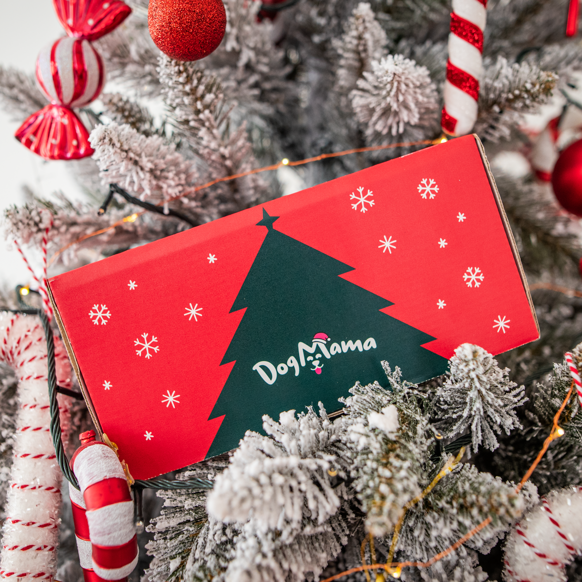 Vánoční balíček - 2 krabičky