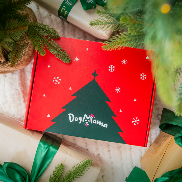 Vánoční balíček - 4 krabičky