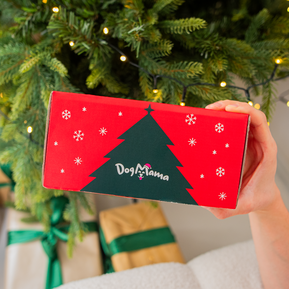 Vánoční balíček - 2 krabičky