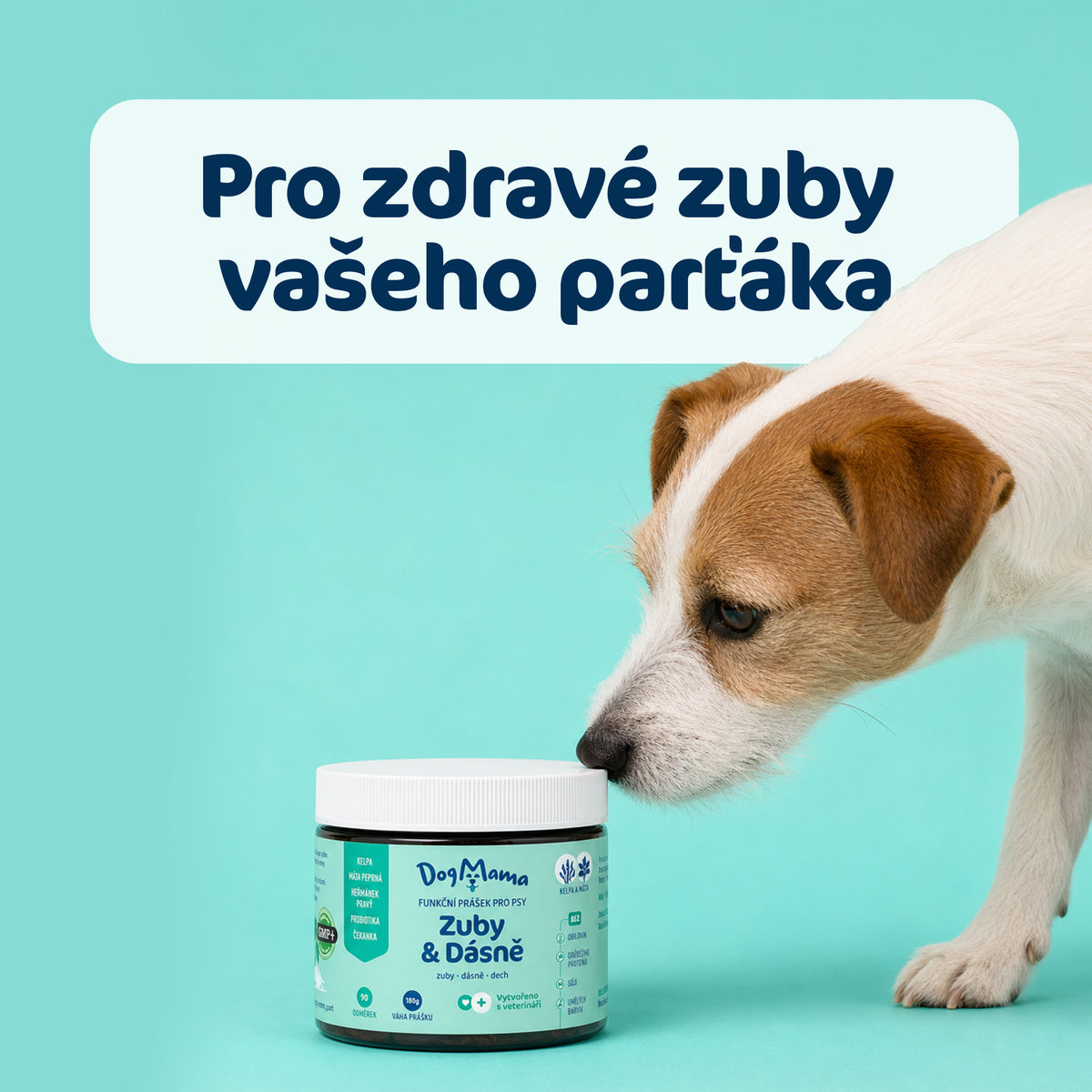 Dentální prášek Zuby & Dásně