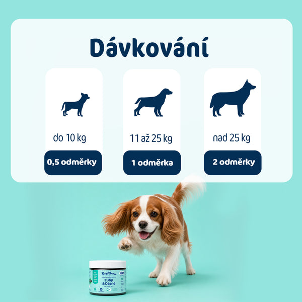 Dentální prášek Zuby & Dásně