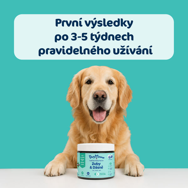 Dentální prášek Zuby & Dásně