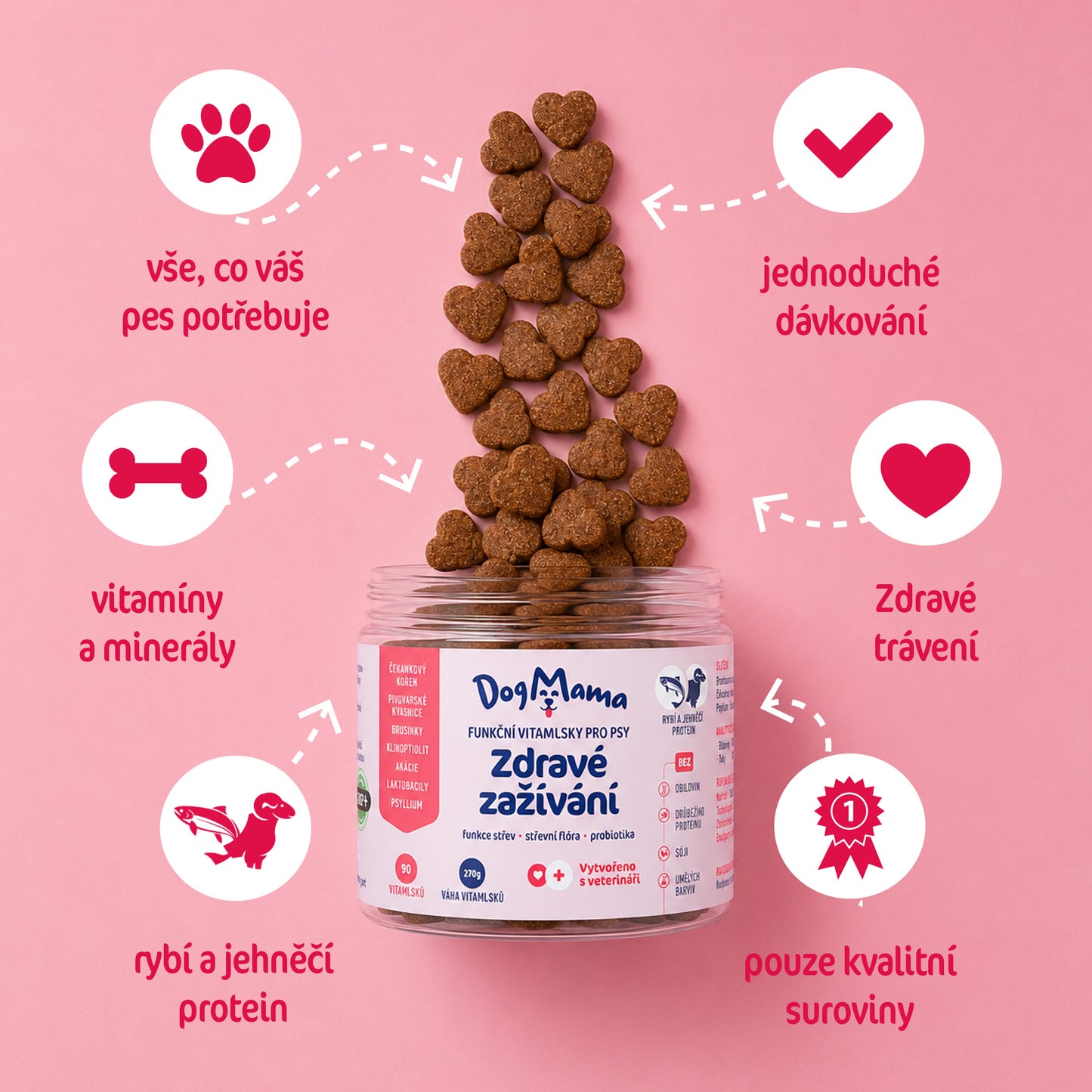 Zdravé zažívání + Probiotika