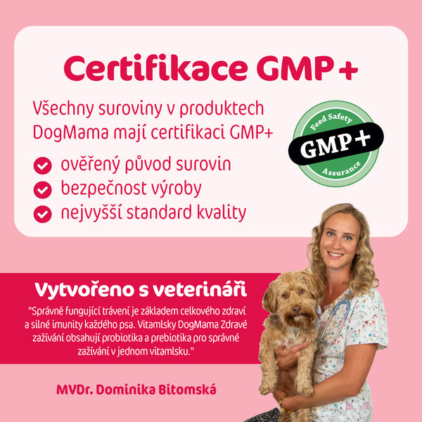 Zdravé zažívání + Probiotika