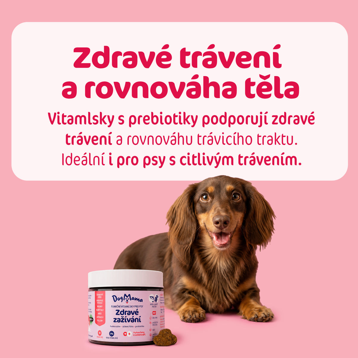 Zdravé zažívání + Probiotika
