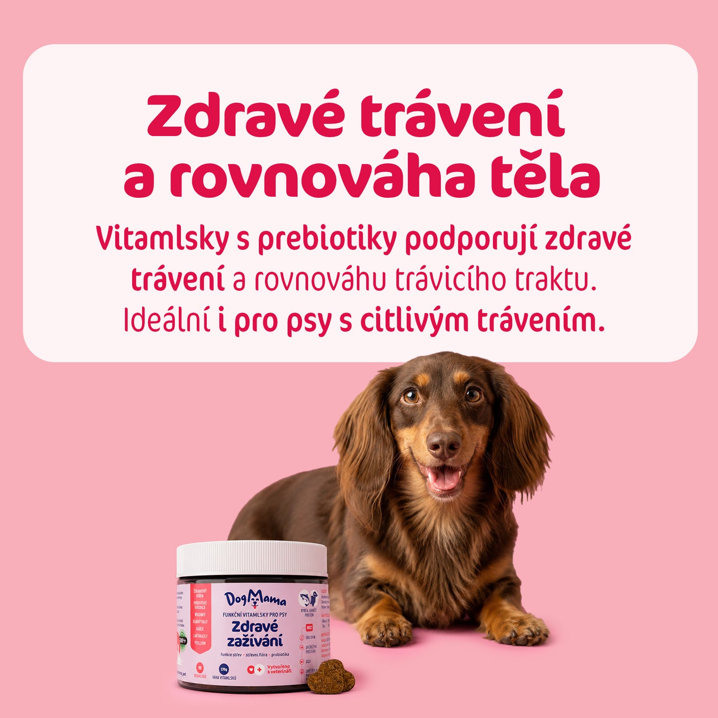 Zdravé zažívání + Probiotika