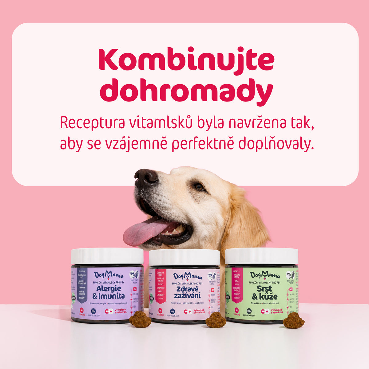 Zdravé zažívání + Probiotika