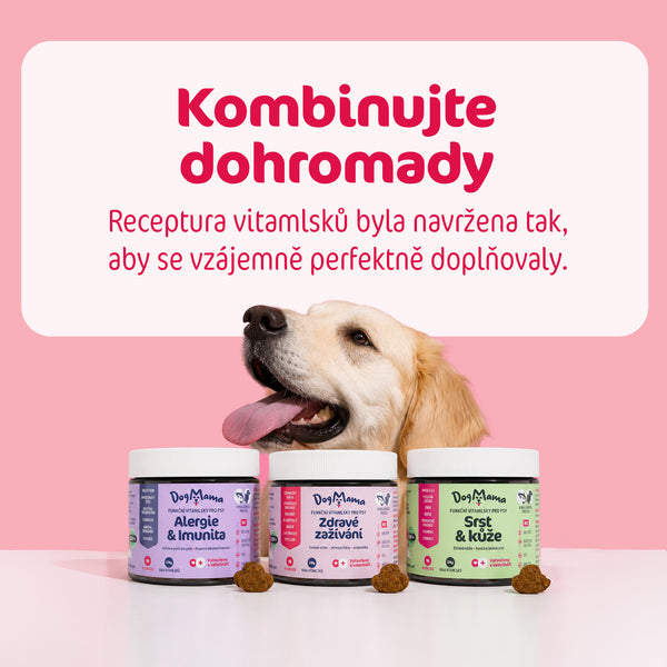 Zdravé zažívání + Probiotika