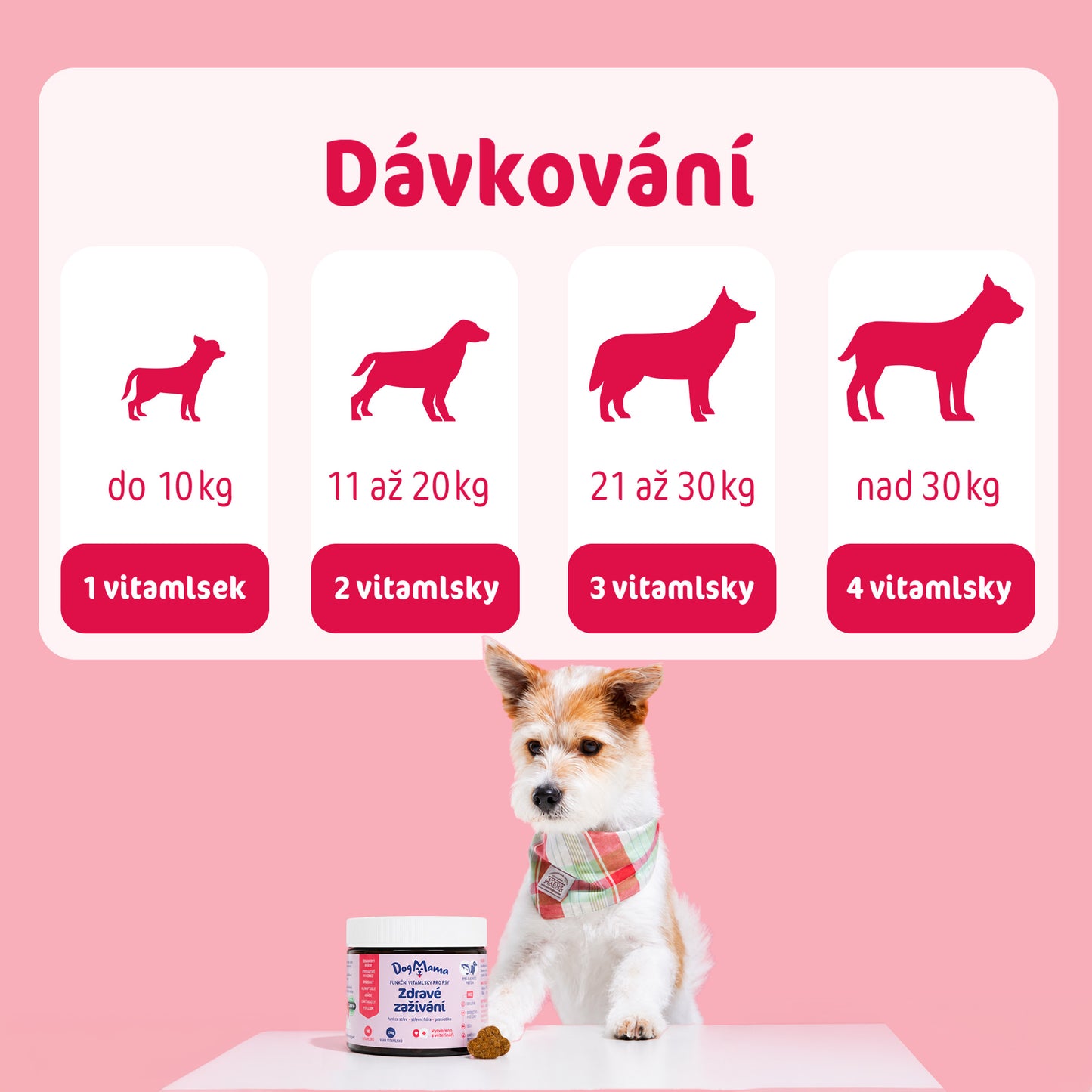 Zdravé zažívání + Probiotika