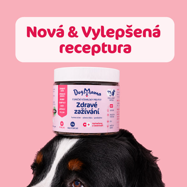 Zdravé zažívání + Probiotika