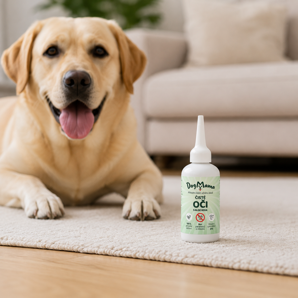 Čisté oči