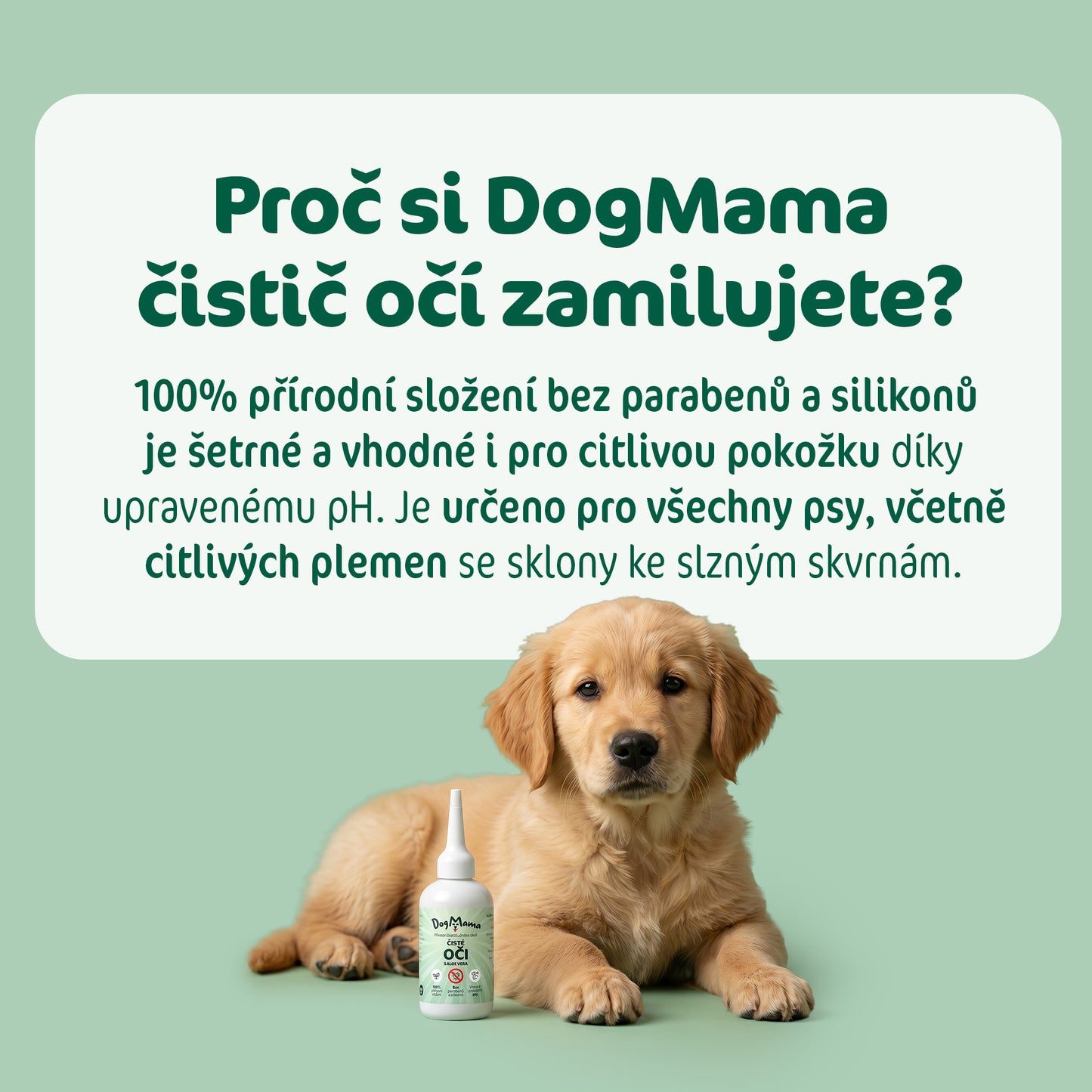 Čisté oči