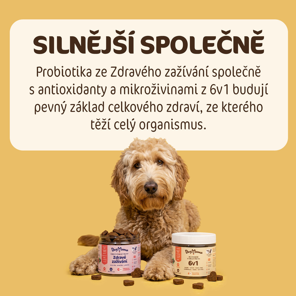Kombo proti pojídání trávy