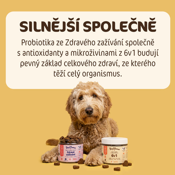 Kombo proti pojídání trávy