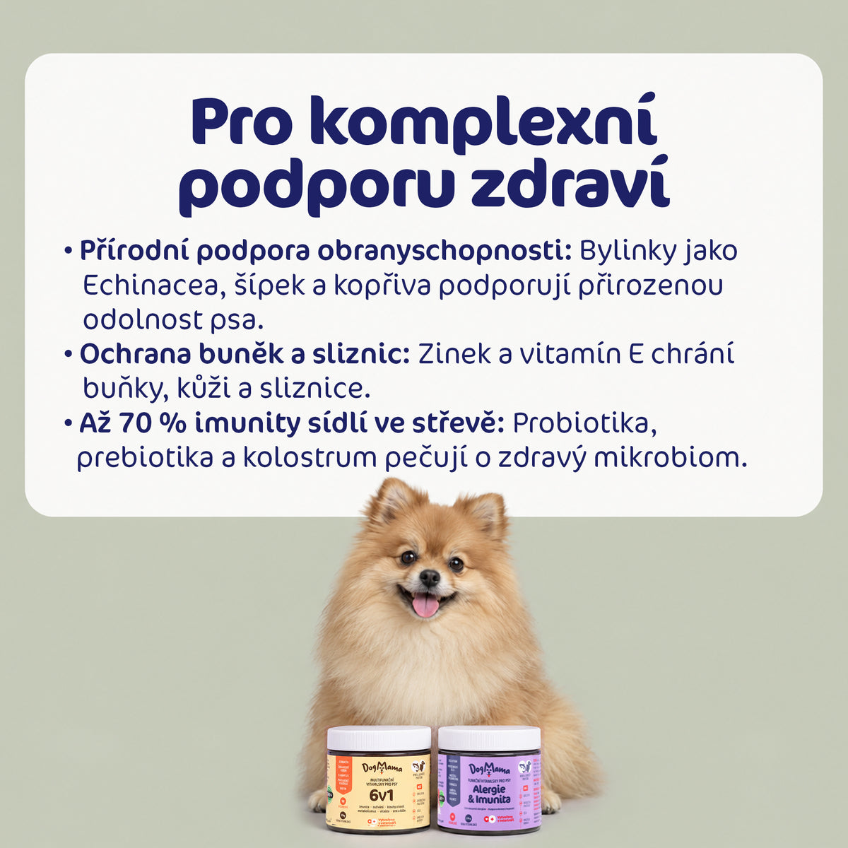 Kombo pro silnou imunitu