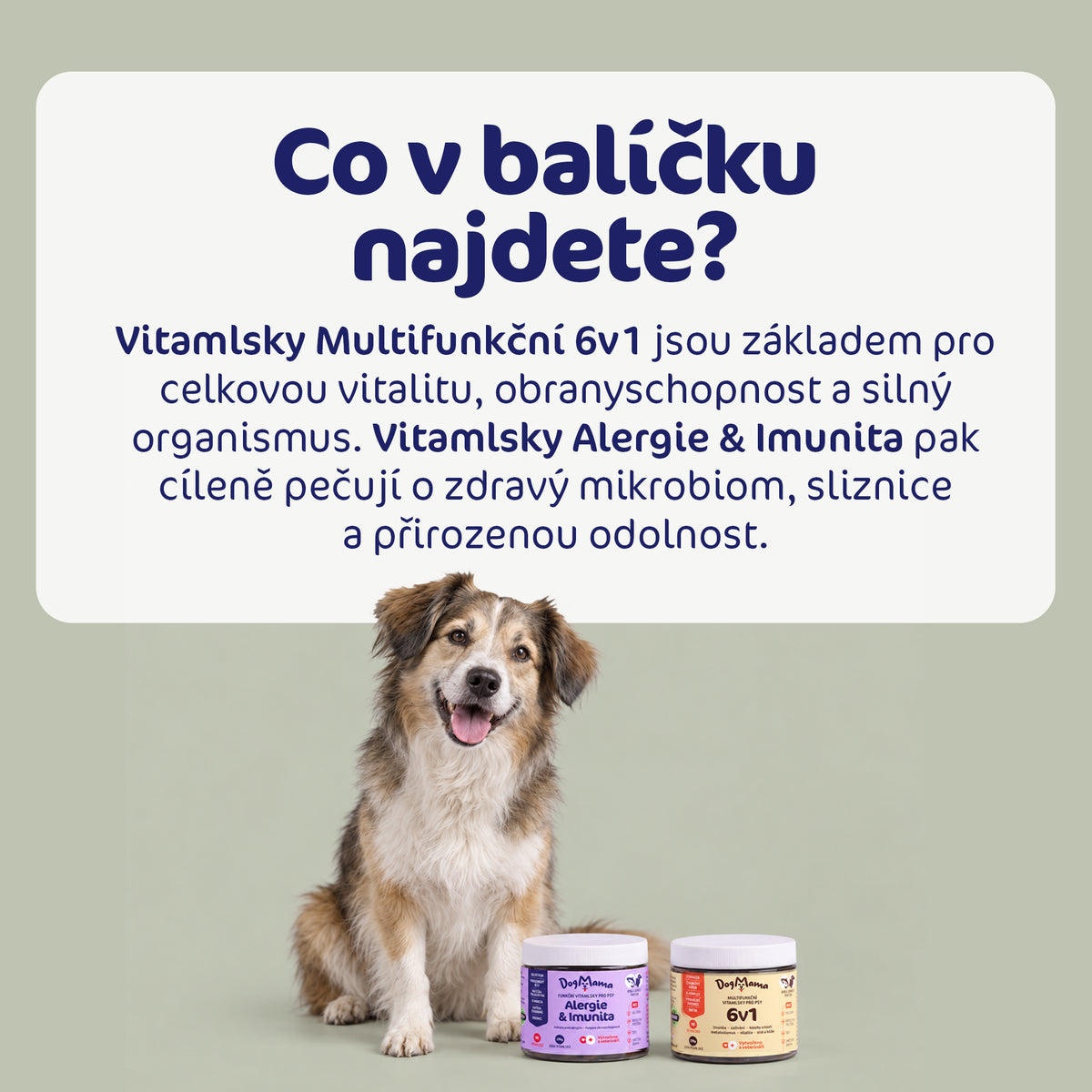 Kombo pro silnou imunitu