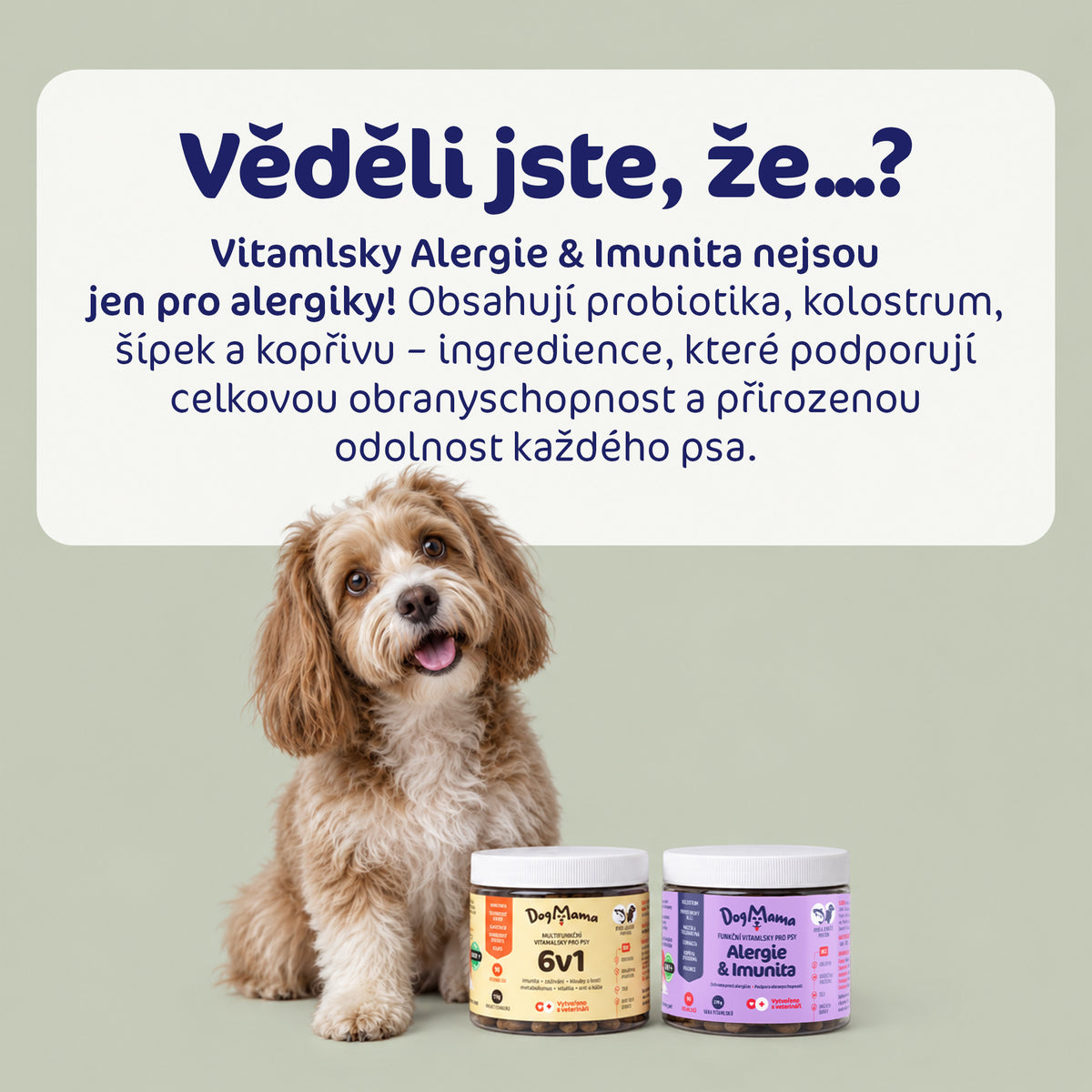 Kombo pro silnou imunitu
