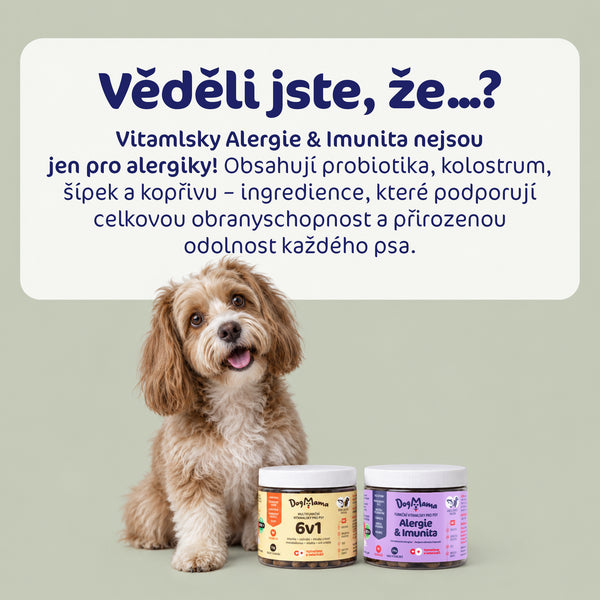 Kombo pro silnou imunitu