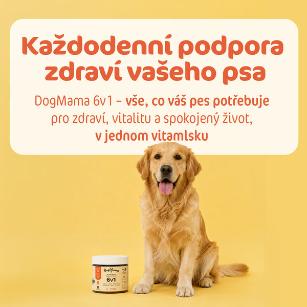 Multifunkční 6v1