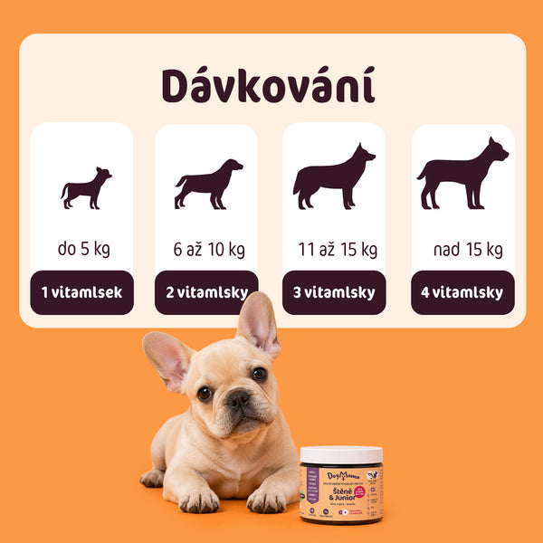 Štěně & Junior