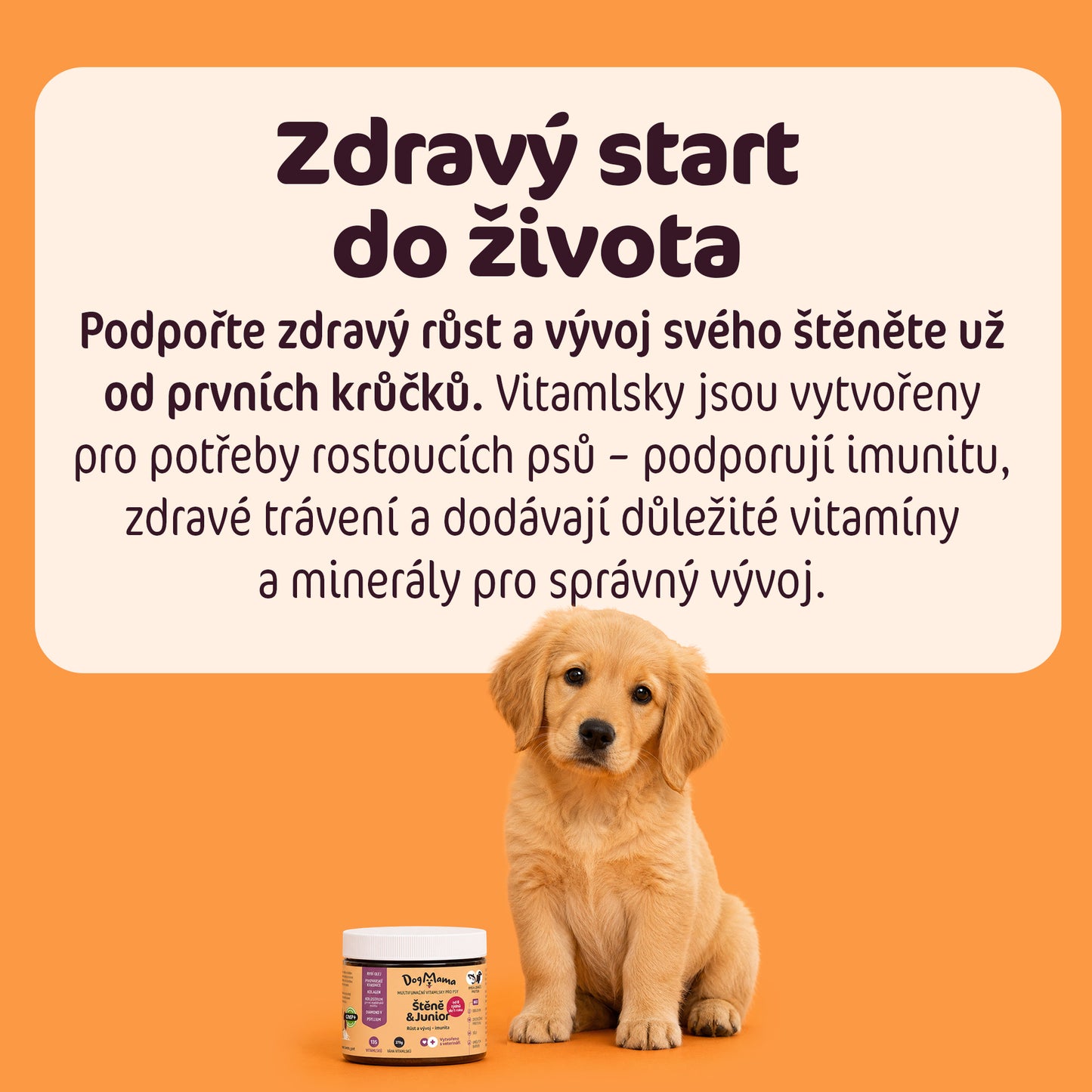 Štěně & Junior