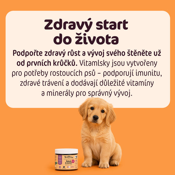Štěně & Junior