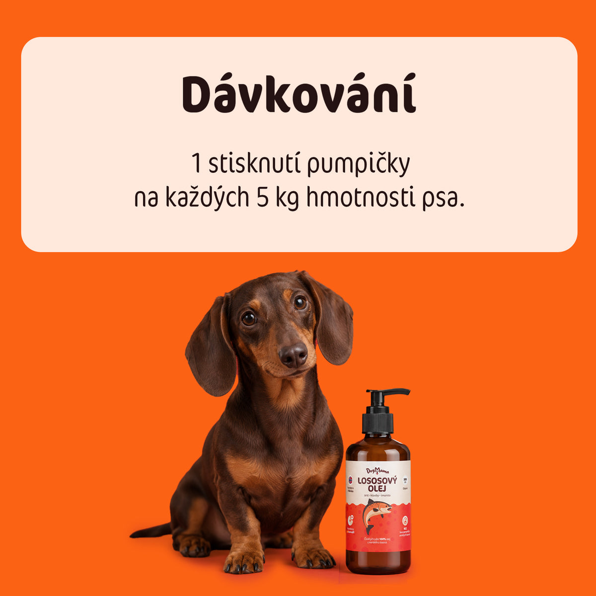 Lososový olej
