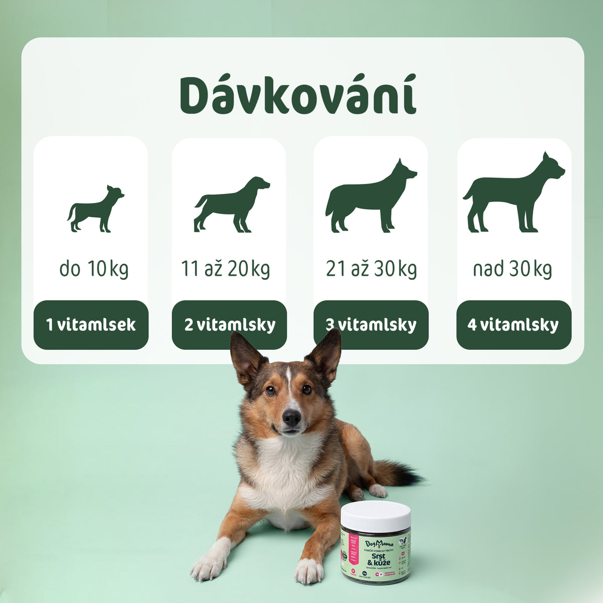 Srst a Kůže