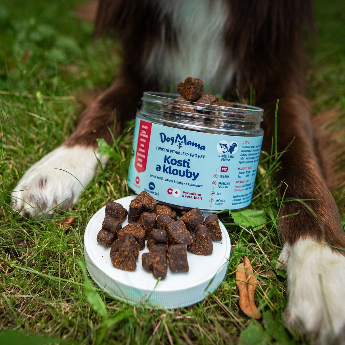 Klouby a kosti + Kolagen