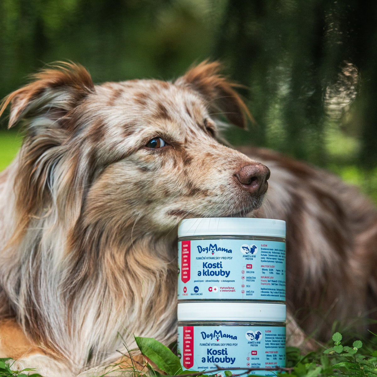 Klouby a kosti + Kolagen