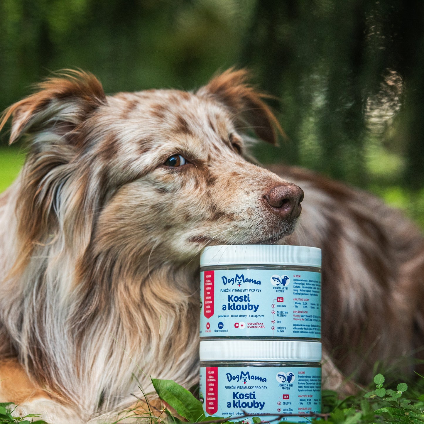 Klouby a kosti + Kolagen