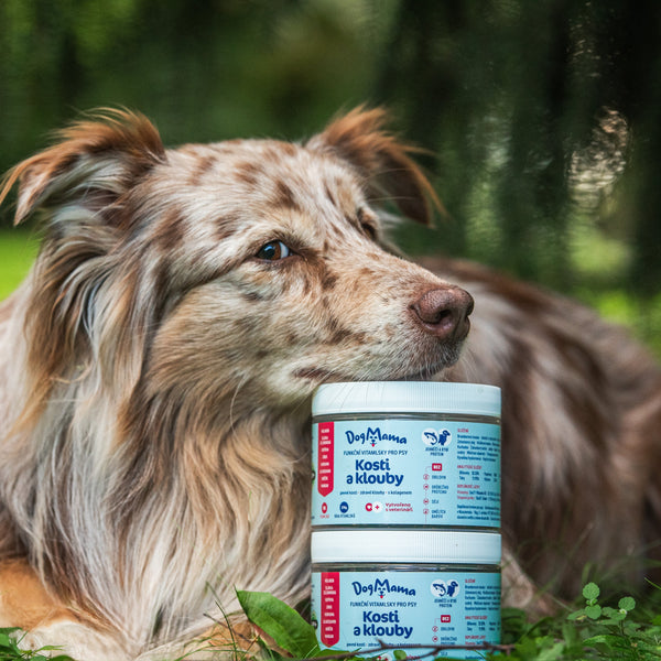 Klouby a kosti + Kolagen