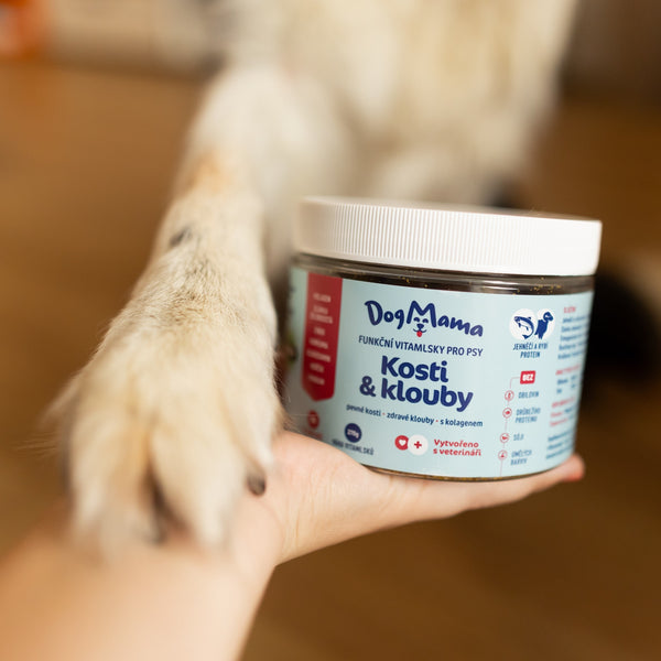 Klouby a kosti + Kolagen