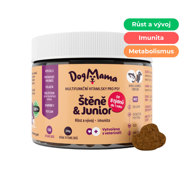Štěně & Junior