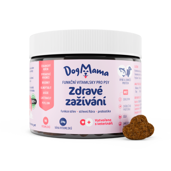 Zdravé zažívání + Probiotika