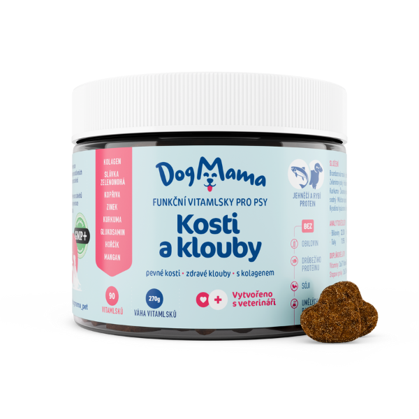 Kĺby a kosti + Kolagén