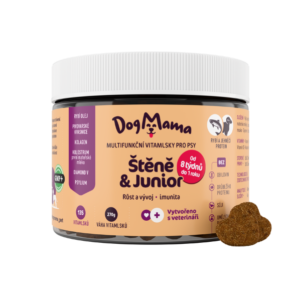 Štěně & Junior