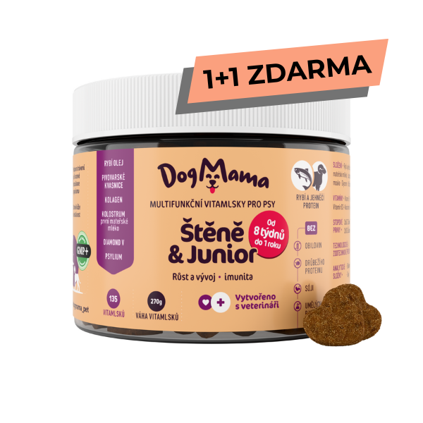 Štěně & Junior 1+1